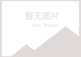 偃师问雁化学有限公司